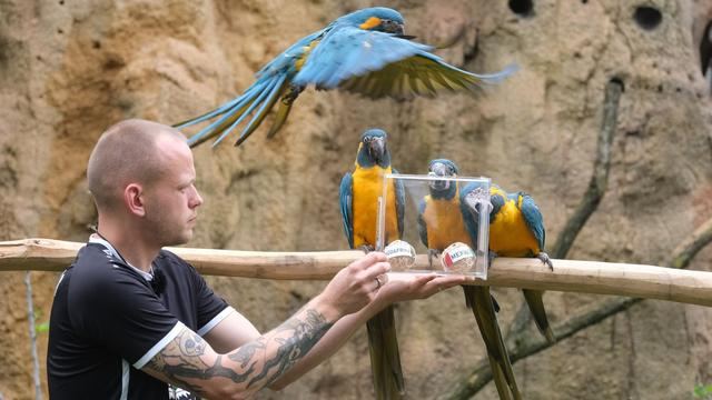 Fotografie: Bilder des Tages