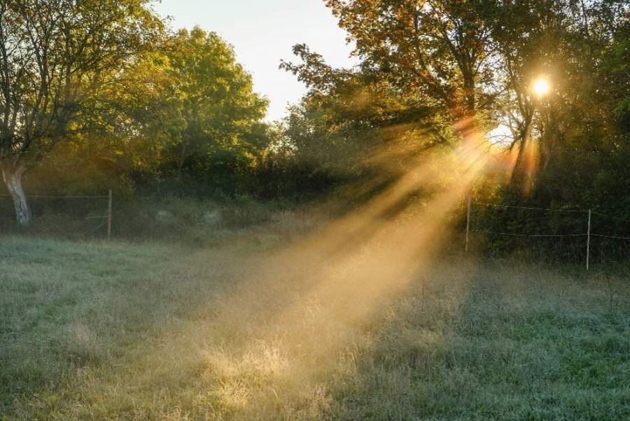 News24 | Wednesday’s weather: Foggy morning, cool and warm, with rain in Western Cape, Eastern Cape