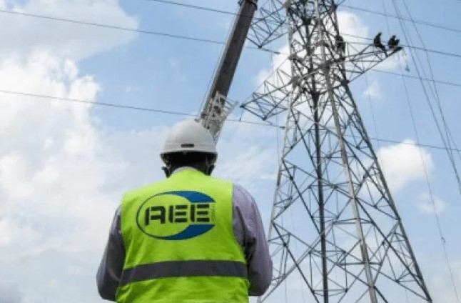 Suspension Letter in ASER-AEE Power EPC Case Raises Further Questions